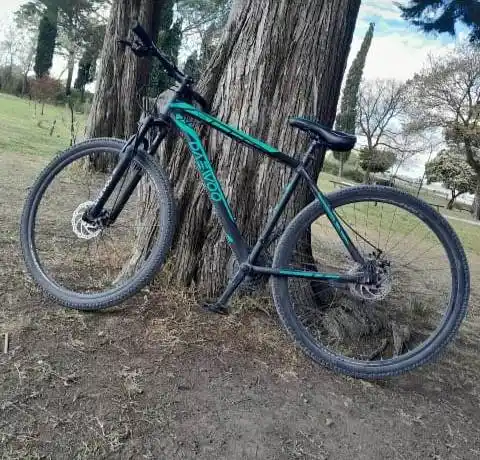Ofrecen recompensa por una bici robada