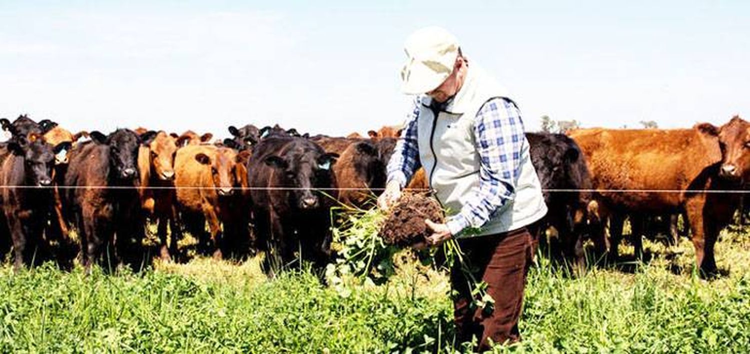 Inauguraron una carnicería agroecológica, con precios  populares y producción sana