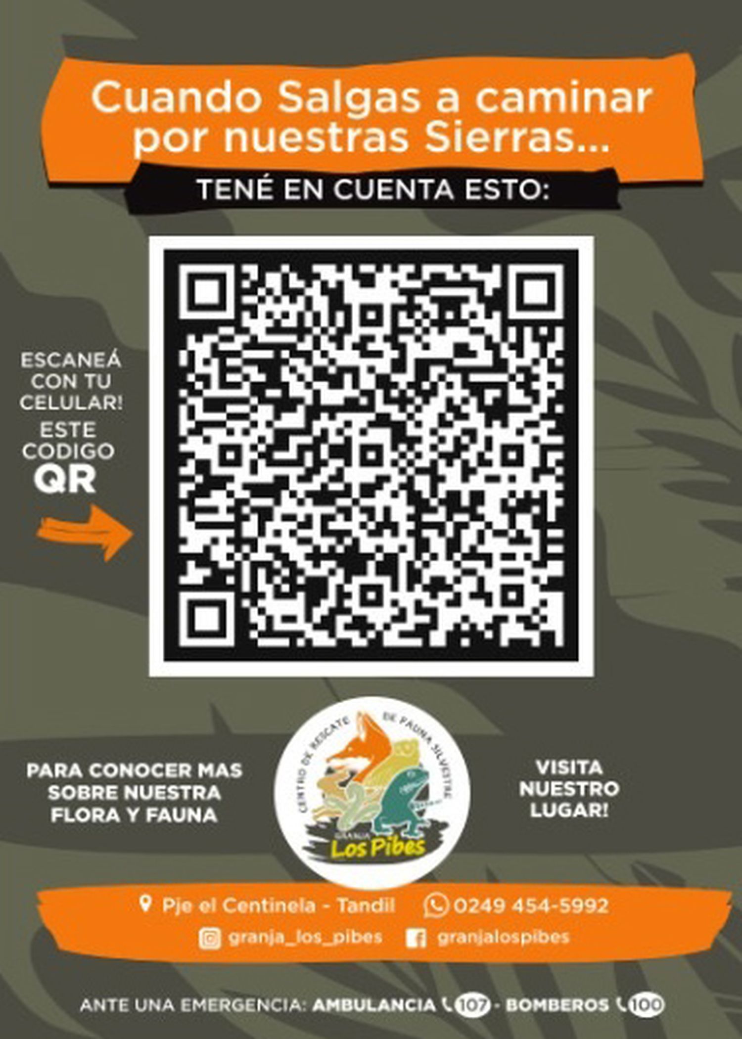 Crearon un código QR con información sobre flora y fauna nativas para quienes salgan a recorrer las sierras