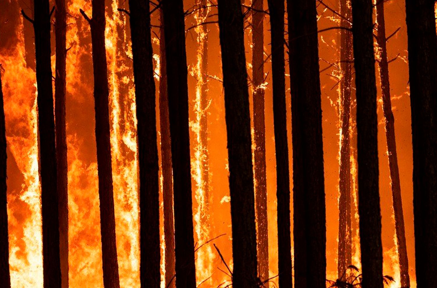Corrientes: no llovió por dos días y volvieron a registrarse incendios