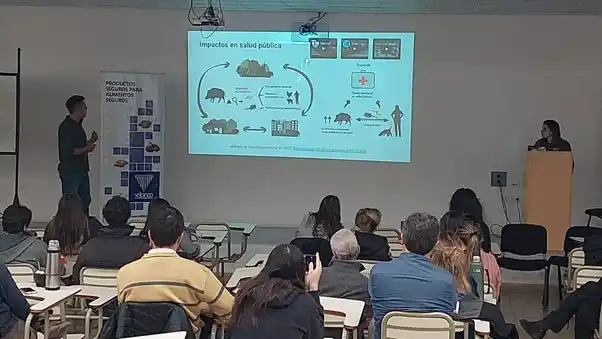 Otorgan financiamiento para el abordaje de la problemática socioambiental del jabalí en Tandil