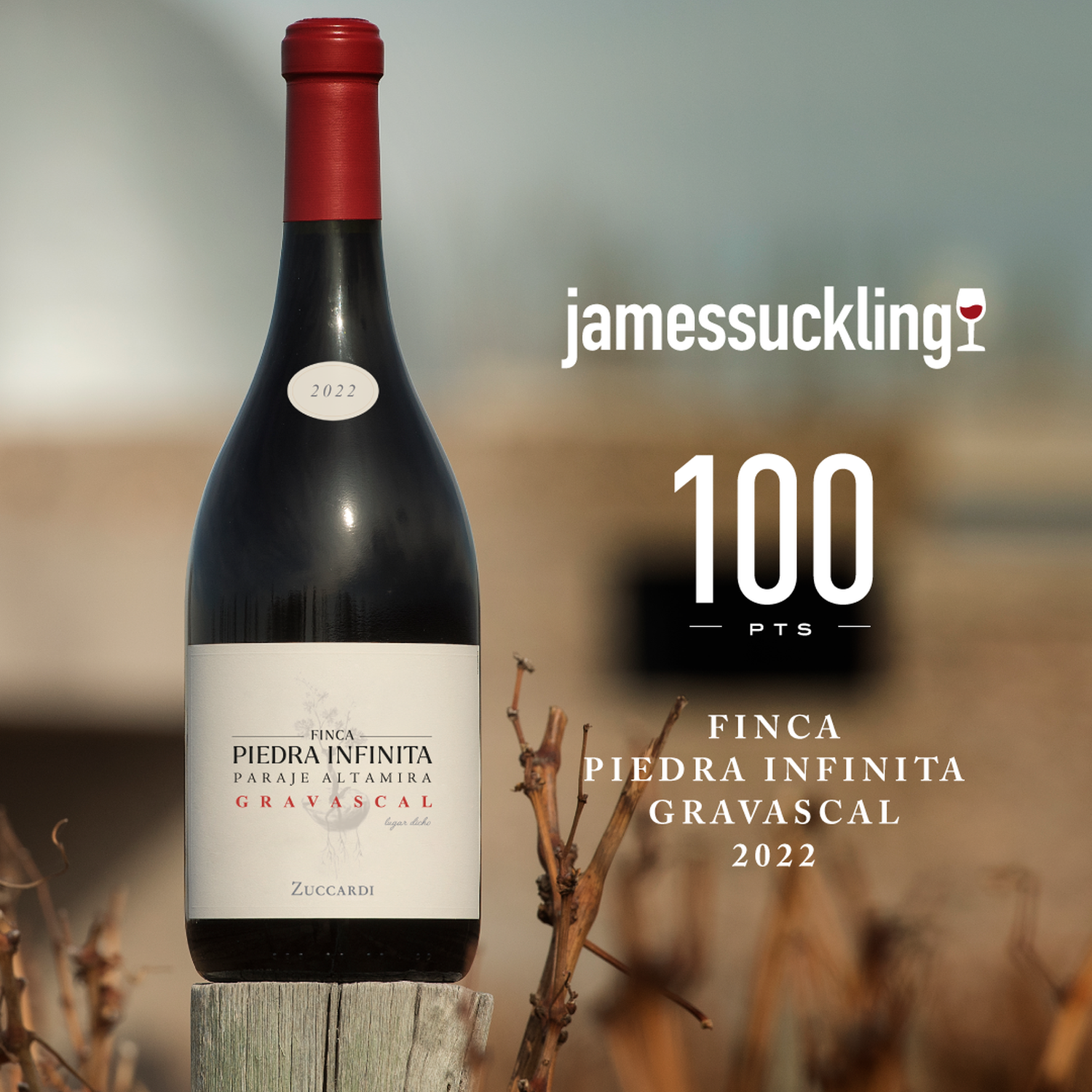 La histórica bodega sigue sumando puntos.