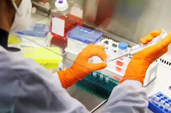 Viruela del mono en Argentina: subieron 30% los casos reportados en la última semana