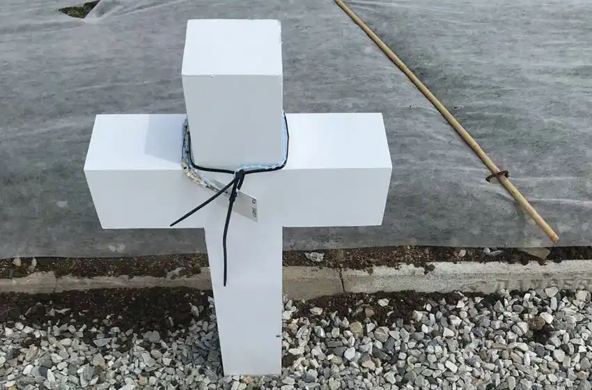 Malvinas: el proyecto de identificación se volvió realidad en 2017