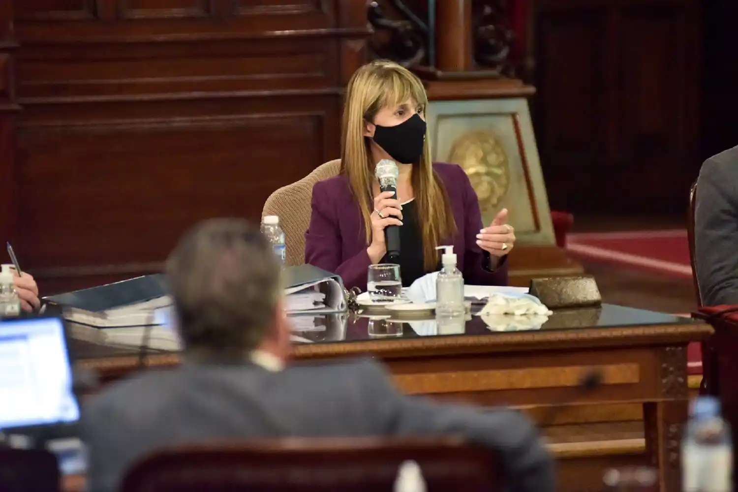 La presentación de Velázquez en Diputados no conformó a la oposición