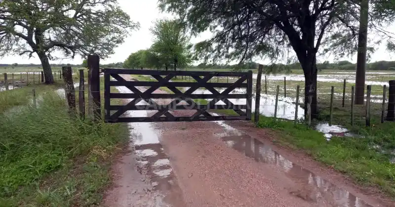Los productores destacaron que las recientes lluvias son un esperado cambio de tendencia.