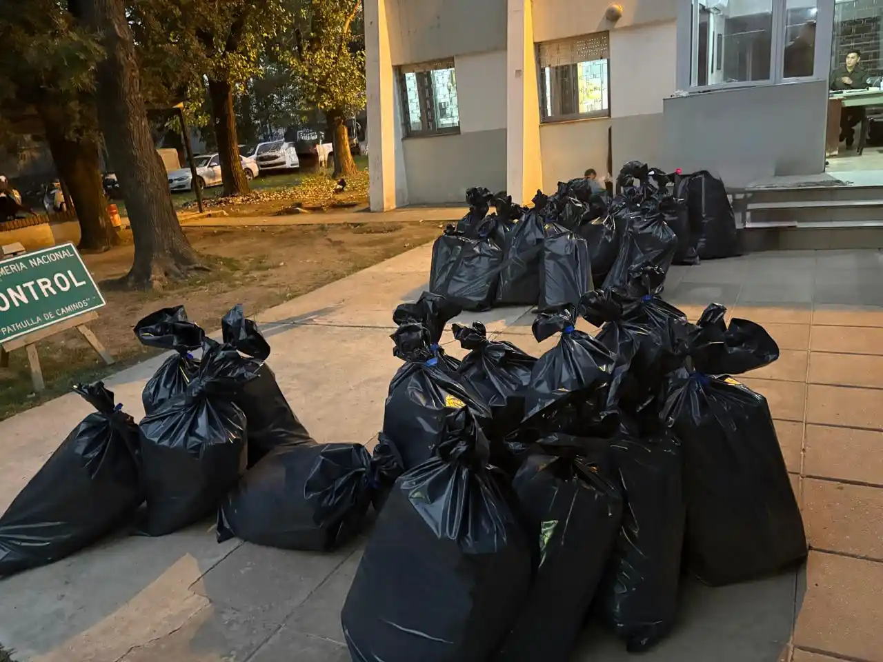 Las bolsas con pescado incautadas.