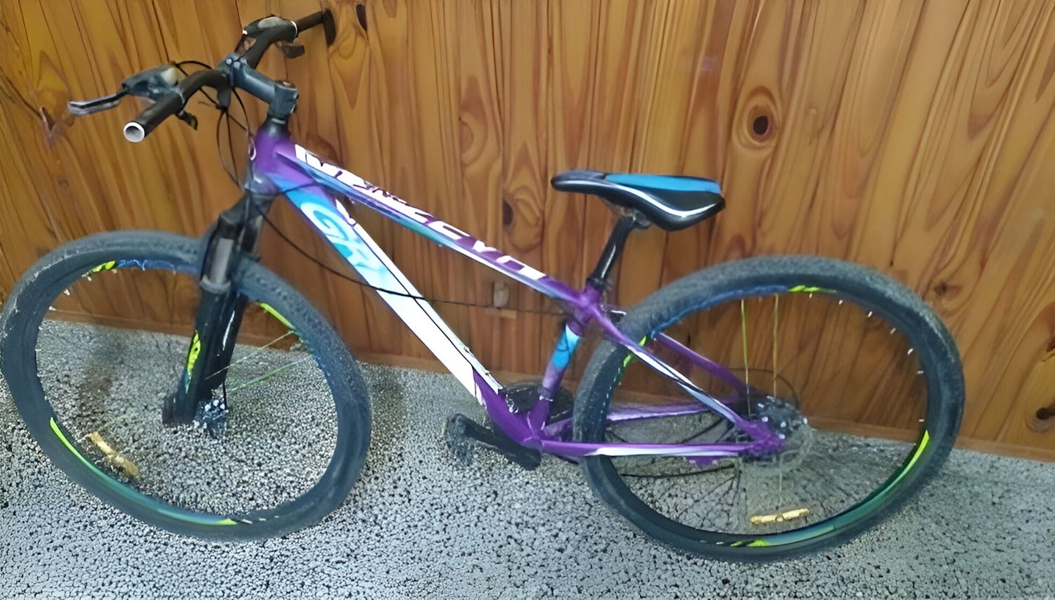La bicicleta recuperada por la policía.