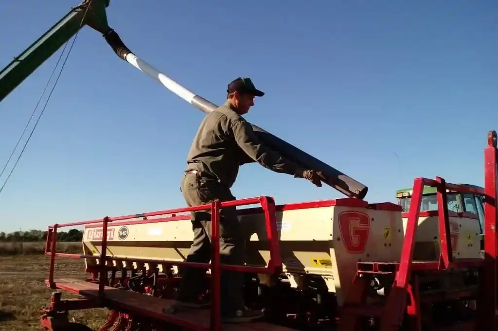 Buenas perspectivas para la campaña triguera.