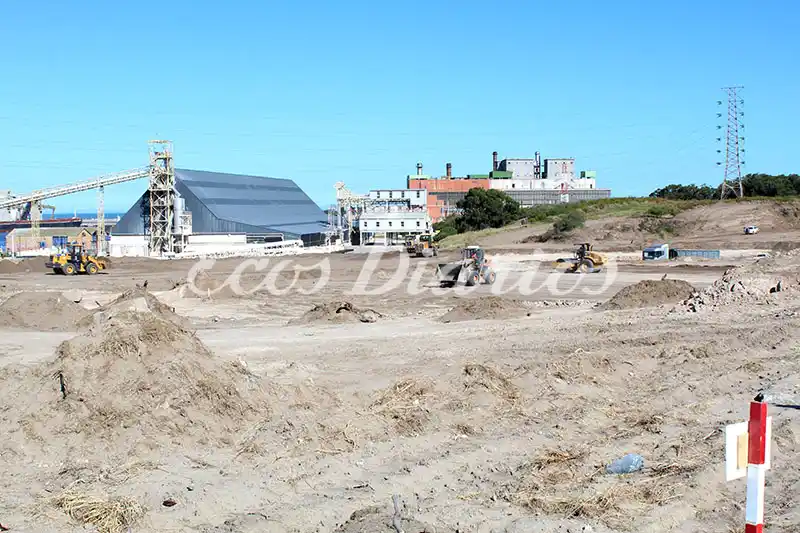 Los molinos llegan el 20 a Puerto