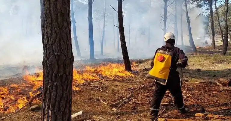 A tener en cuenta. Las sugerencias para evitar incendios forestales