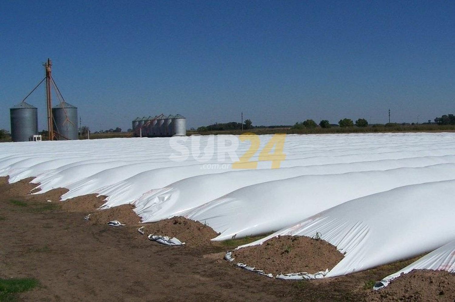 Científicos santafesinos buscan reciclar plástico de los silobolsas para crear un nuevo material aislante