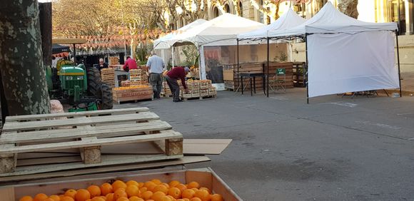 Vacaciones de invierno: San Pedro tendrá su Sexta Fiesta de la Naranja de Ombligo
