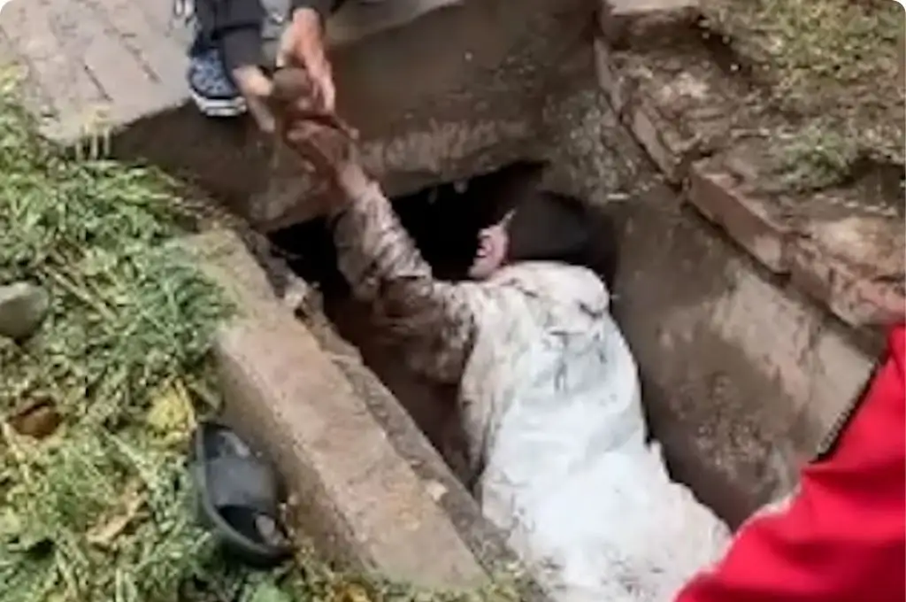 Salvó a ocho cachorros