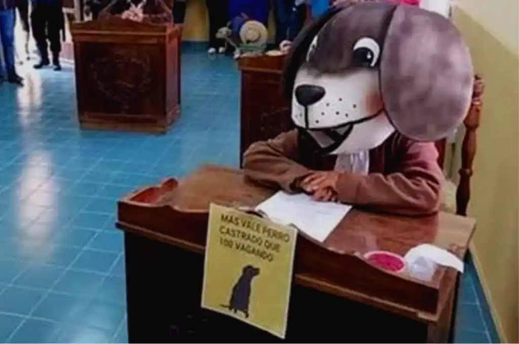 Insólito: una concejala jujeña sesionó disfrazada de perro