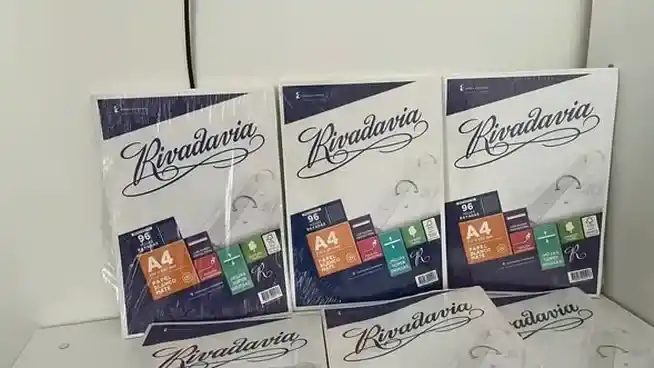 La principal empresa de útiles del país registró una de las peores caídas de ventas de la historia