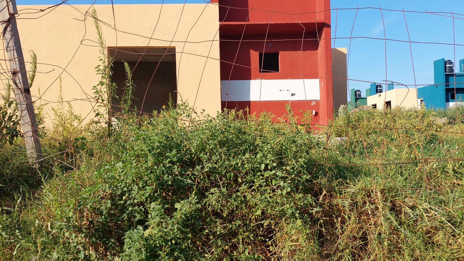 Rodeadas de pastizales, las viviendas aguardan el reinicio de obra.