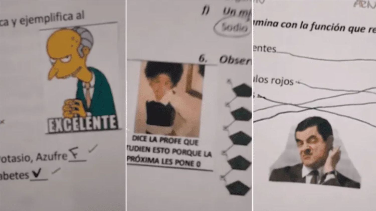 Furor por la maestra que corrige exámenes con memes