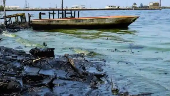 Derrame en el Lago de Maracaibo: pescadores botan los peces porque «saben a gasoil» (VIDEO)