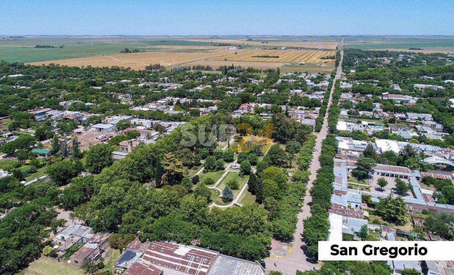 San Gregorio: joven detenido por intentar agredir a la policía