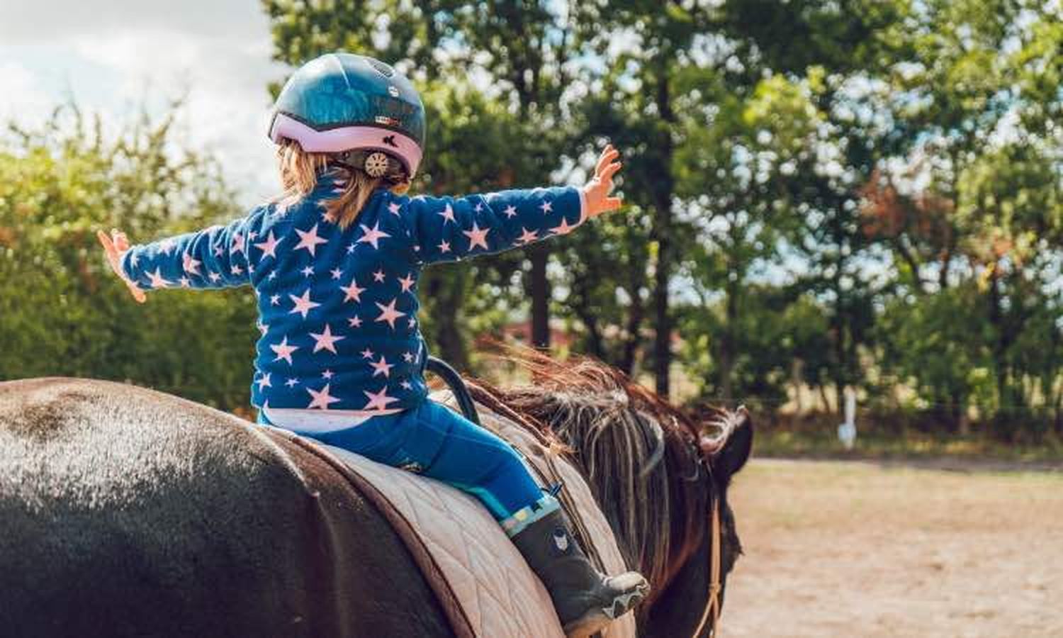 Impulsan la Ley Nacional de Terapia Asistida con Caballos