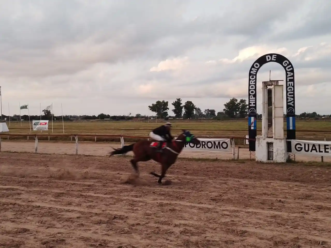 Turf: Radiante Boy y Noah Tom, los ganadores de la Copa Criadores