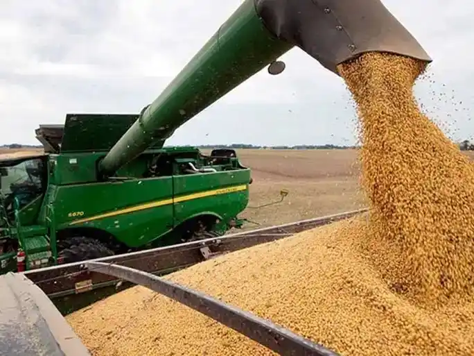 La liquidación de dólares por parte del sector aceitero y cerealero aumentó un 82%, comparado con diciembre de 2025