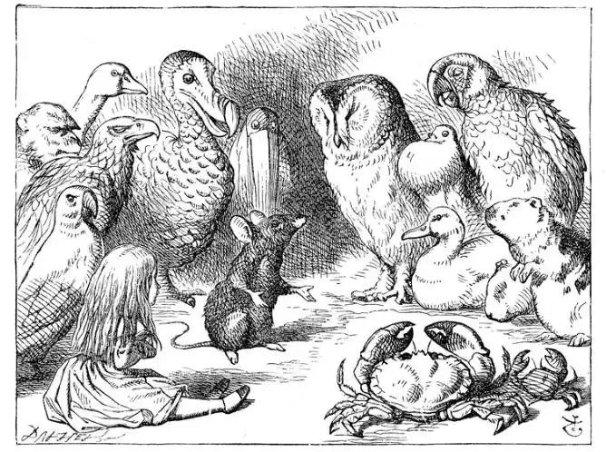 paris hilton dodo - 3