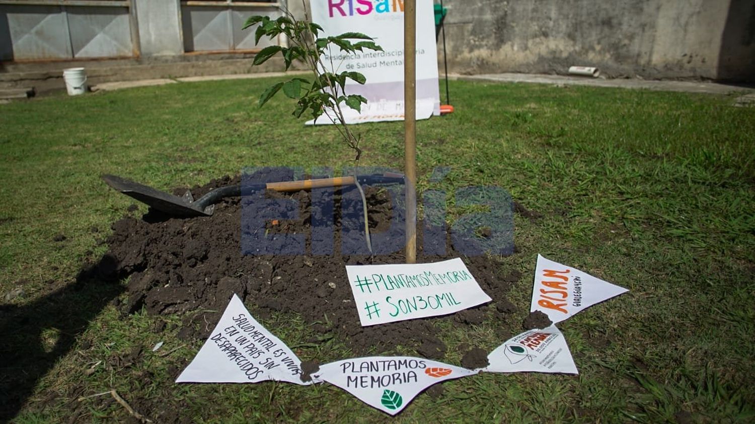 El Hospital Centenario se sumó a la campaña "Plantamos Memoria"
