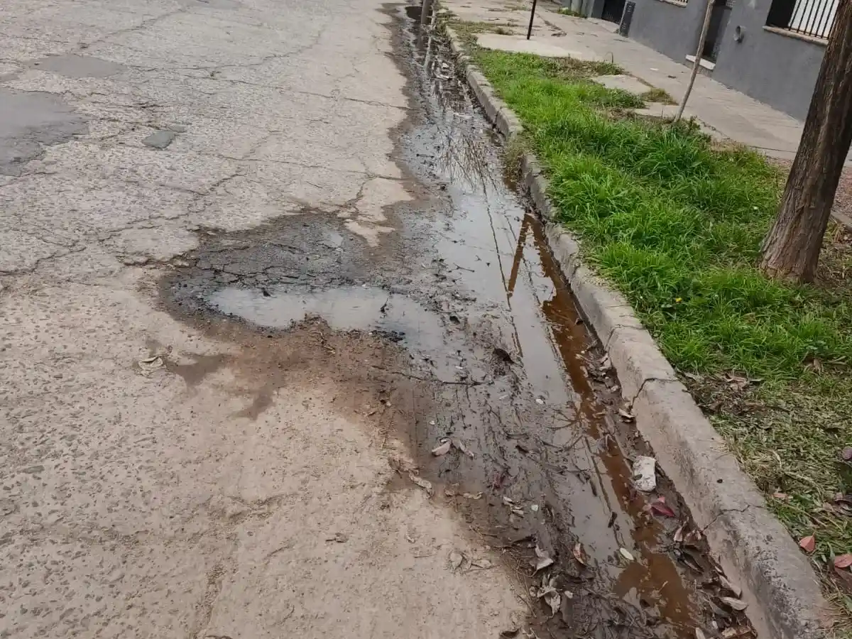Alvear 800: una pérdida de agua de 2 cuadras