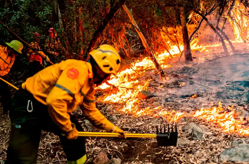"Este fin de semana hay alto riesgo de incendios forestales" en Mar del Plata