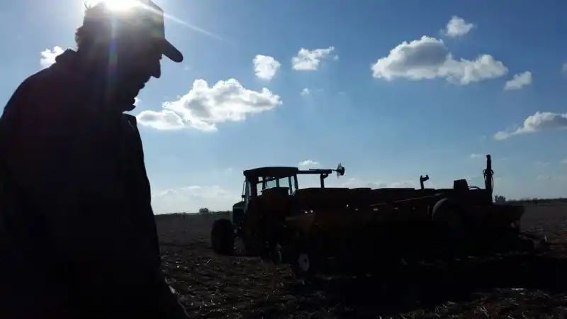 Las exportaciones agroindustriales crecieron un 25% en 2024 y alcanzaron un superávit comercial récord