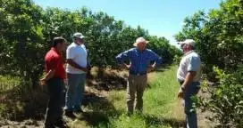 Guillermo Bernaudo visitó la zona por el inicio de fumigaciones contra la mosca de los frutos