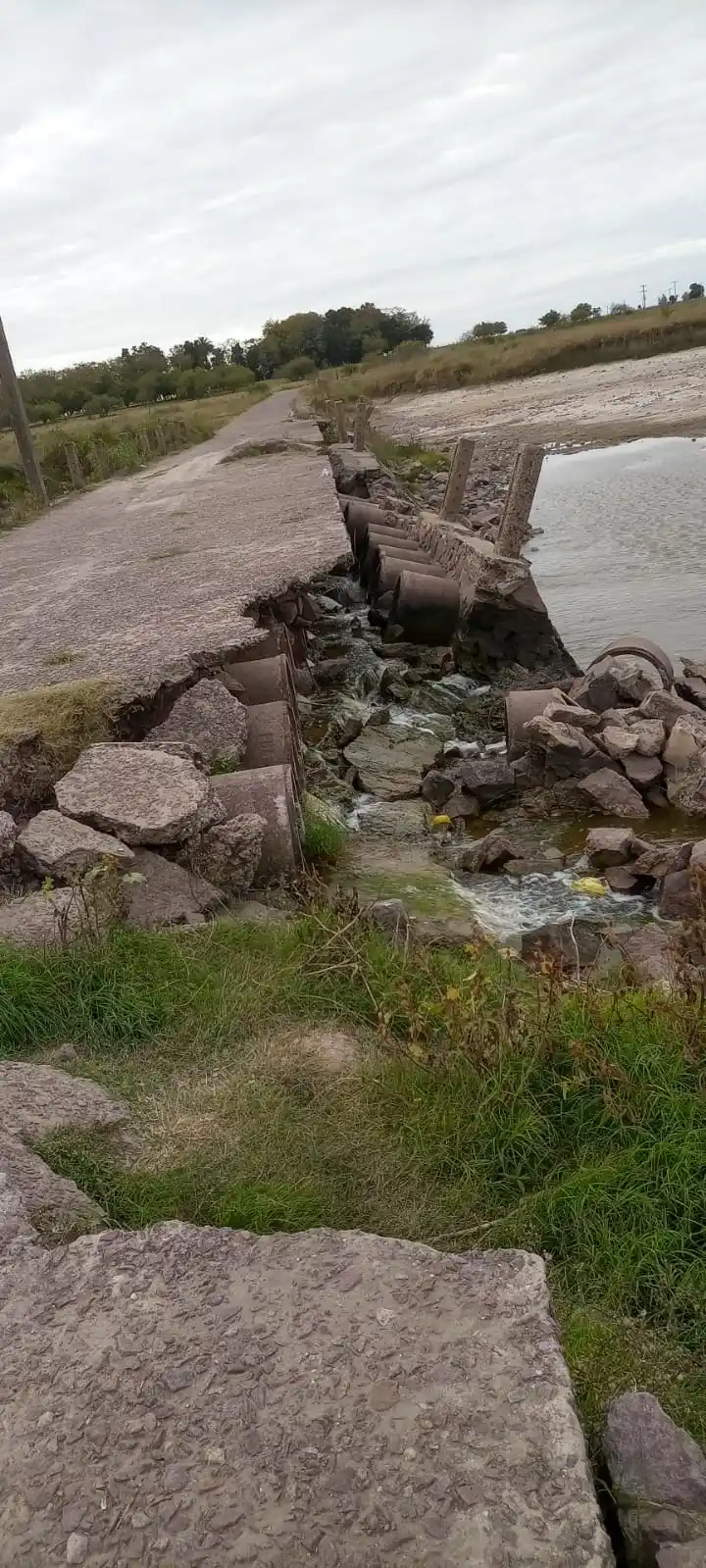 Reclamo por estado calamitoso de camino rural que conecta Vergara con Chascomús