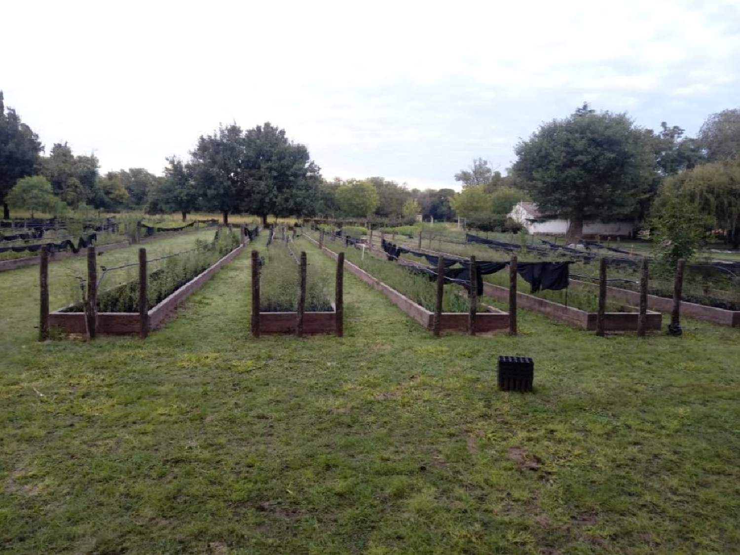  La Provincia lanzó el programa Forestando Córdoba