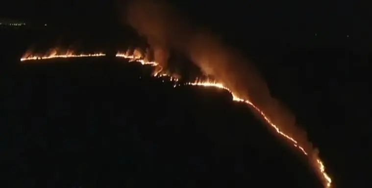 Incendio en la Reserva Ecológica de Punta Lara 