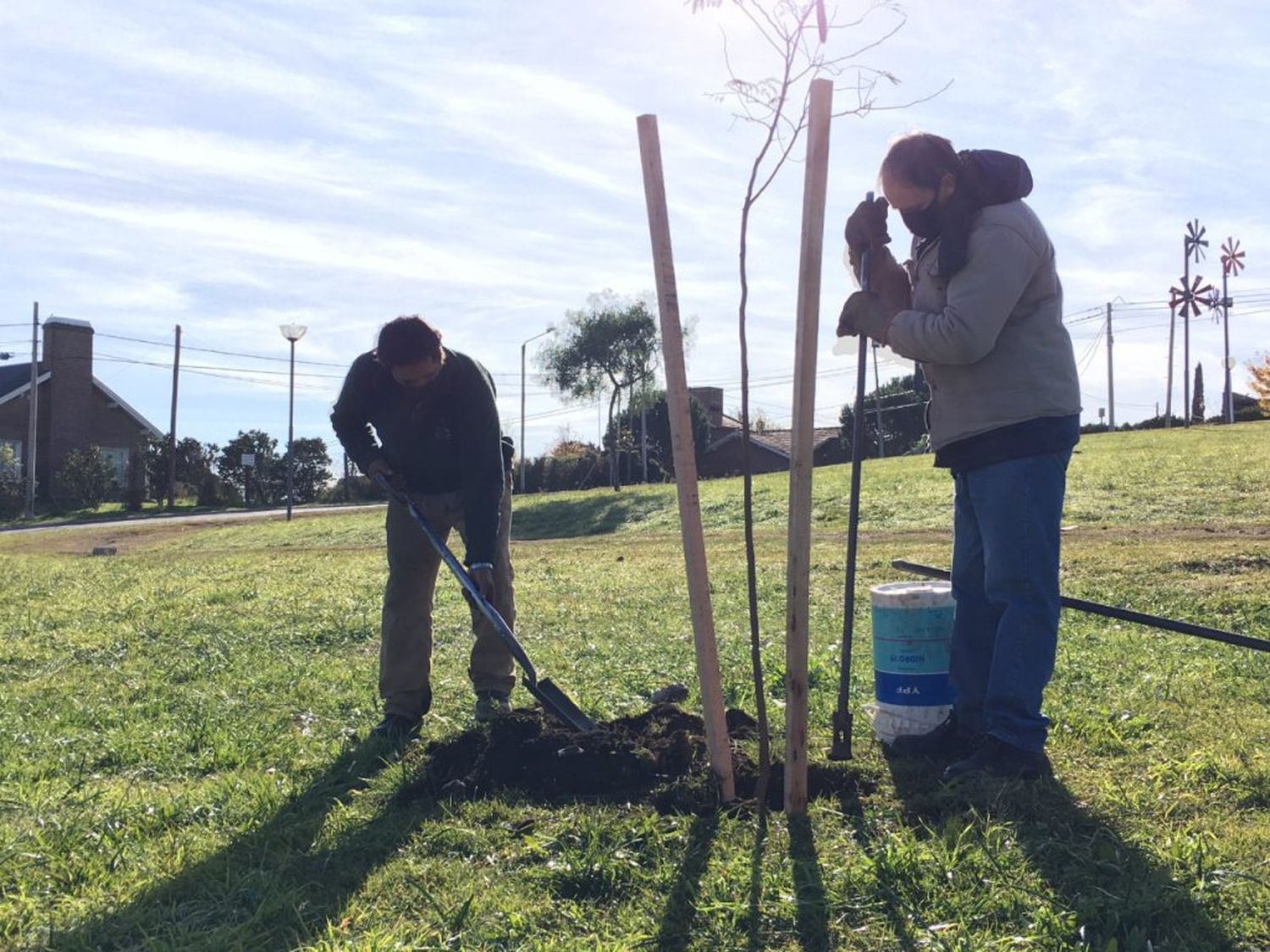 El Municipio avanza con la plantación de nuevas especies en diferentes espacios verdes públicos