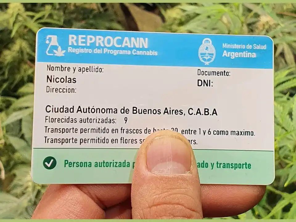 Las modificaciones alcanzan específicamente a cultivadores solidarios y las Organización No Gubernamentales (ONG)