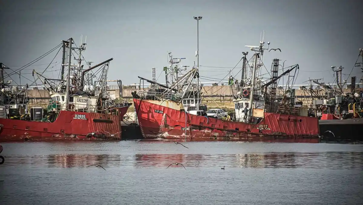 Flota fresquera de Mar del Plata.