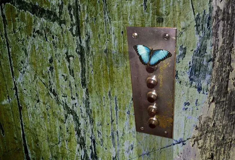 Efecto mariposa