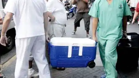 En 2021 se realizaron más de tres mil trasplantes de órganos y córneas en el país