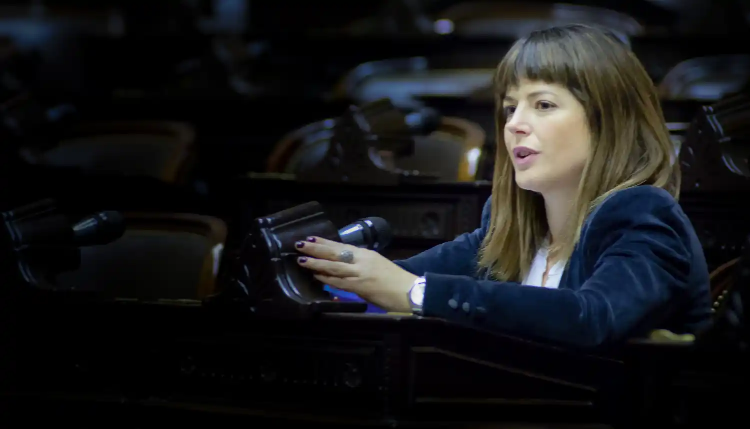 “Los feriados puente deben ser una política de Estado, ya que el Turismo es una fuente creadora de empleo genuino y un dinamizador de las economías regionales”, señaló Gaillard