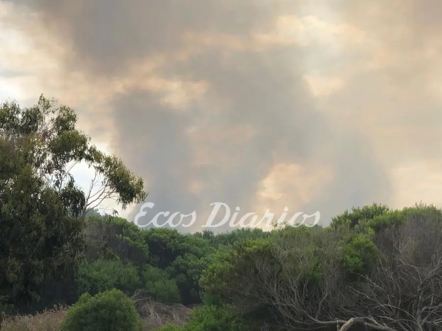 El fuego arrasó con unas 40 hectáreas en Quequén