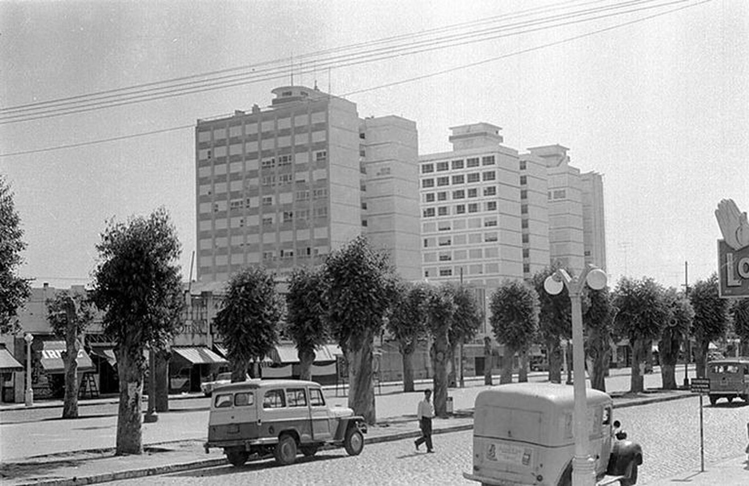 Con los eucaliptus. Así lucía la avenida 59 hasta principio de los sesenta