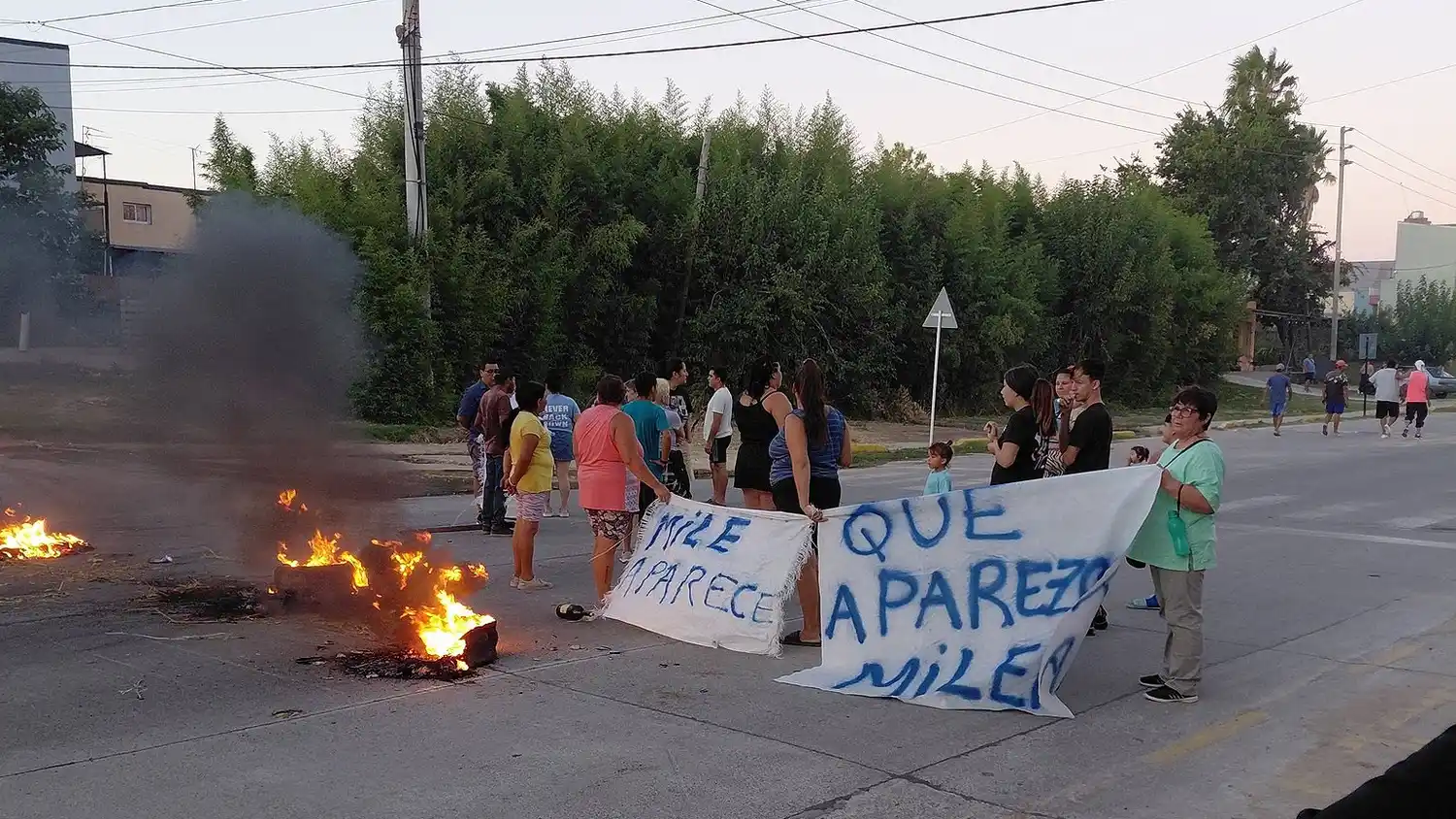 Familiares y allegados reclaman la aparición de Milena.