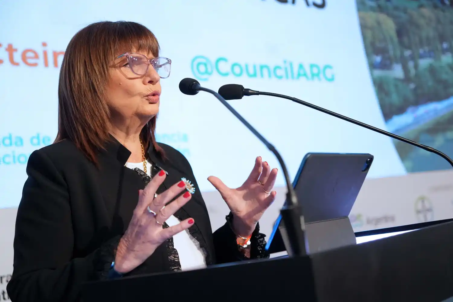 Patricia Bullrich en el Consejo de las Américas