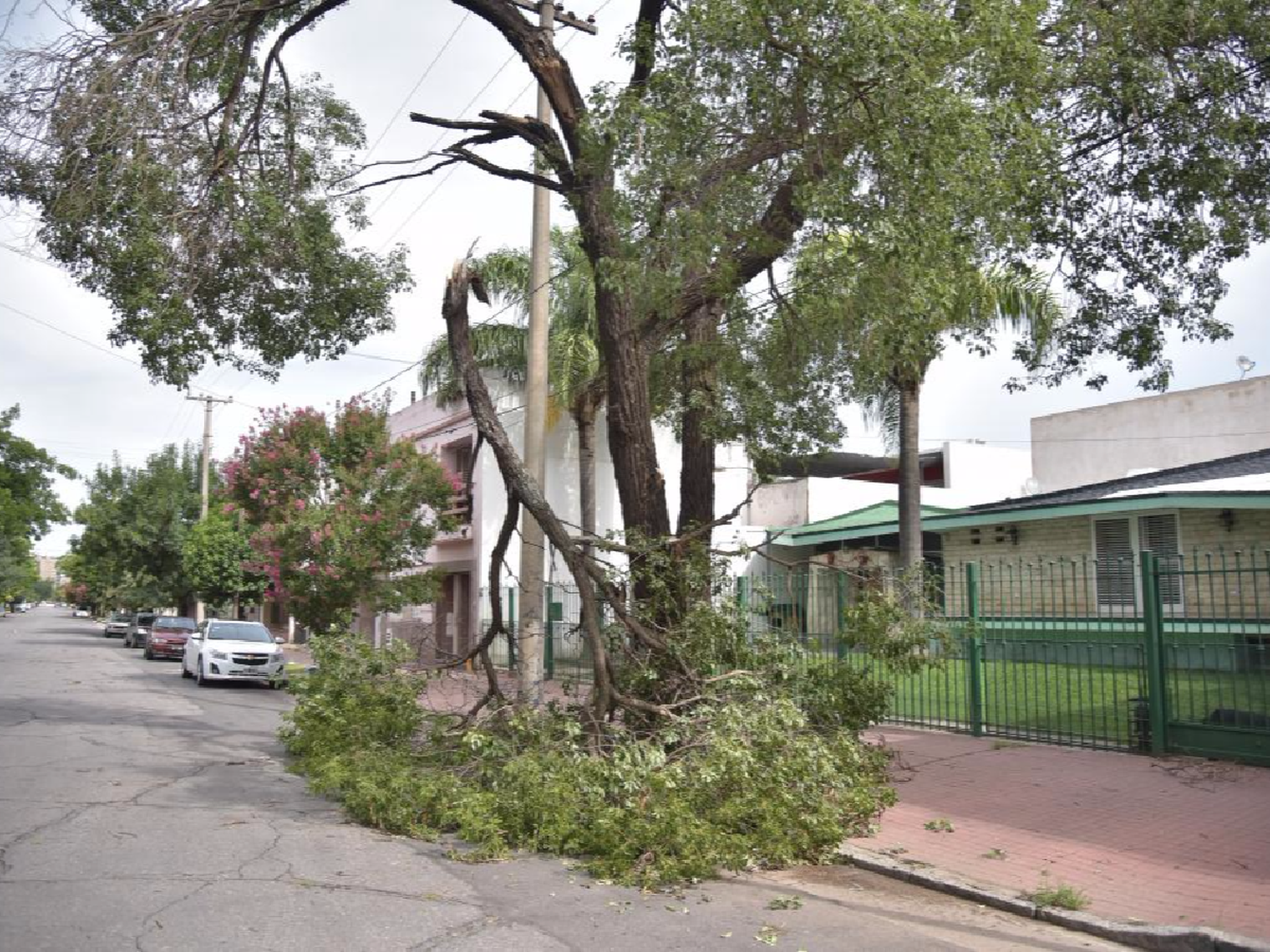 Después del calor, un temporal  azotó la provincia y causó destrozos