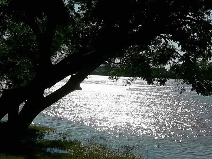 Remoción de toxinas del  Río Uruguay