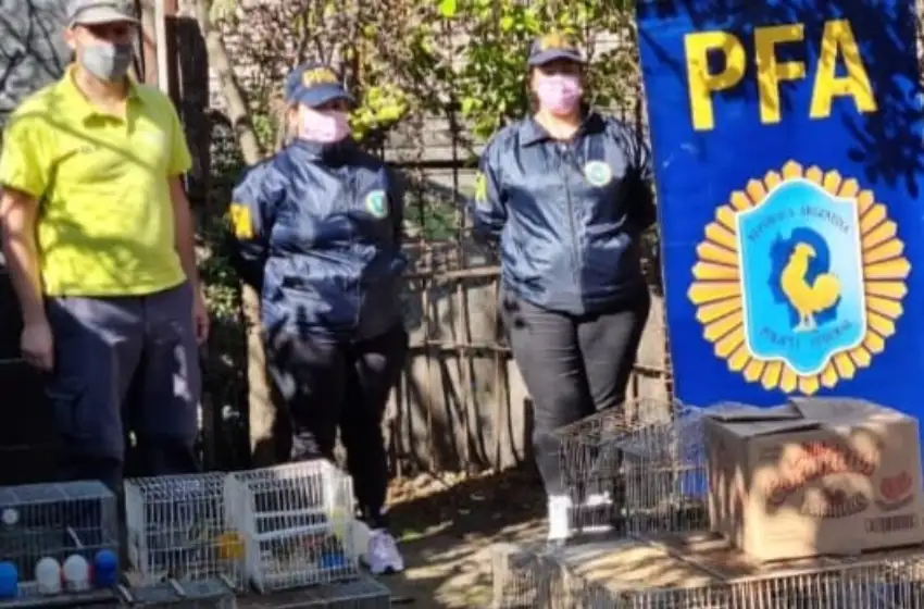 La PFA continúa realizando operativos contra el maltrato animal y la conservación de la fauna