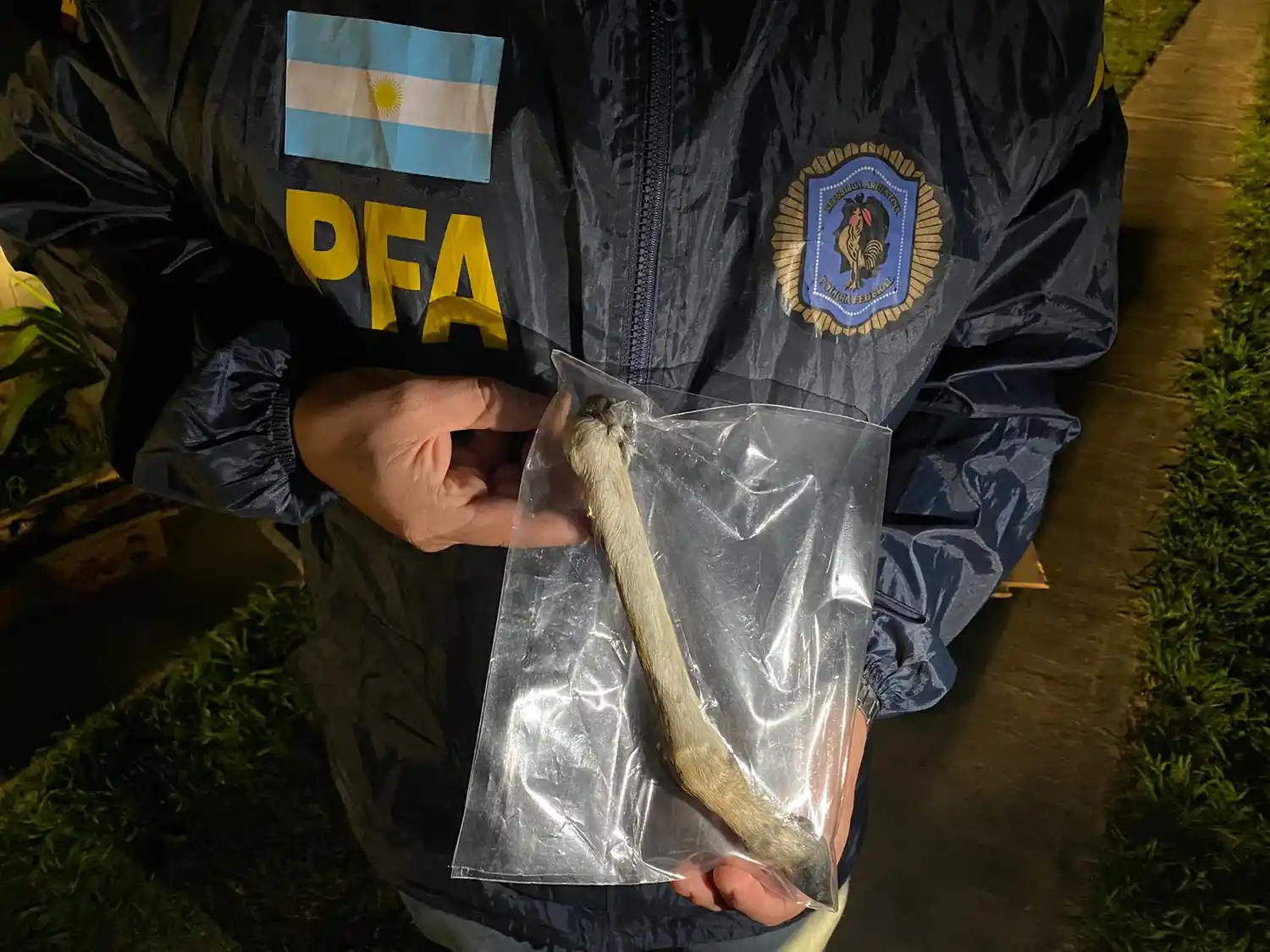 allanamiento tandil - 1